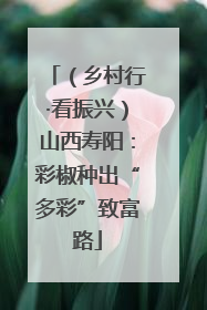 （乡村行·看振兴）山西寿阳：彩椒种出“多彩”致富路