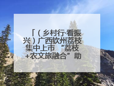 （乡村行·看振兴）广西钦州荔枝集中上市 “荔枝+农文旅融合”助农增收