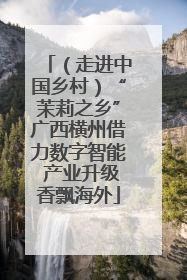 （走进中国乡村）“茉莉之乡”广西横州借力数字智能 产业升级香飘海外