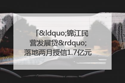 “锦江民营发展贷”落地两月授信1.7亿元，惠及118家民企