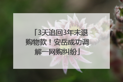 3天追回3年未退购物款！安岳成功调解一网购纠纷