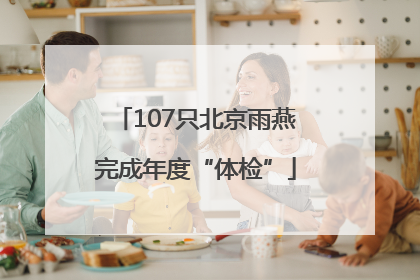 107只北京雨燕完成年度“体检”