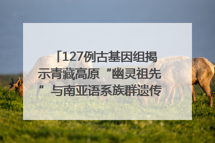127例古基因组揭示青藏高原“幽灵祖先”与南亚语系族群遗传起源｜封面科考队