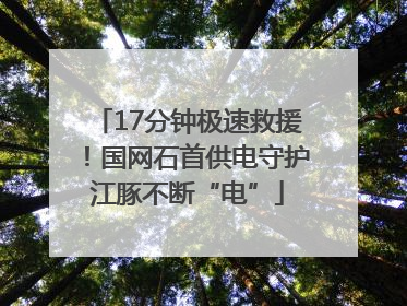 17分钟极速救援！国网石首供电守护江豚不断“电”