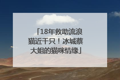18年救助流浪猫近千只！冰城蔡大姐的猫咪情缘