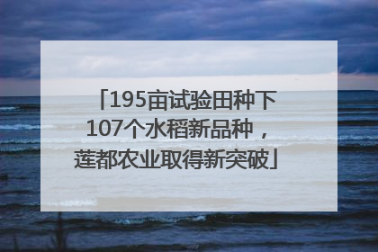 195亩试验田种下107个水稻新品种，莲都农业取得新突破