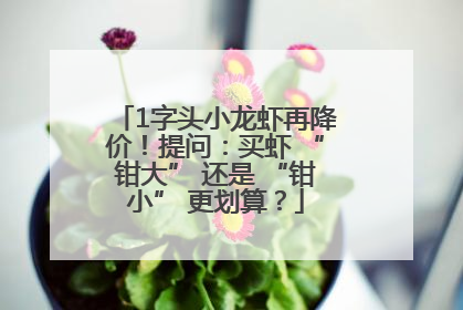 1字头小龙虾再降价！提问：买虾 “钳大” 还是 “钳小” 更划算？