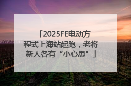 2025FE电动方程式上海站起跑，老将新人各有“小心思”