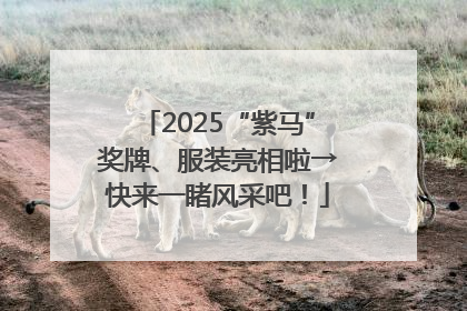 2025“紫马”奖牌、服装亮相啦→快来一睹风采吧！