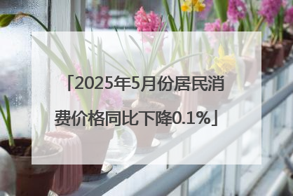 2025年5月份居民消费价格同比下降0.1%