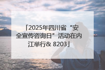 2025年四川省“安全宣传咨询日”活动在内江举行& 8203