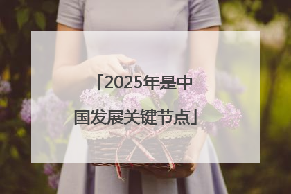 2025年是中国发展关键节点