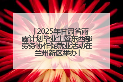 2025年甘肃省雨露计划毕业生暨东西部劳务协作促就业活动在兰州新区举办