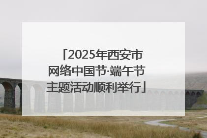2025年西安市网络中国节·端午节主题活动顺利举行