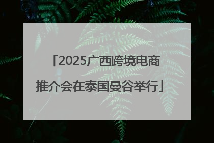 2025广西跨境电商推介会在泰国曼谷举行