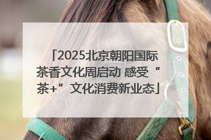 2025北京朝阳国际茶香文化周启动 感受“茶+”文化消费新业态