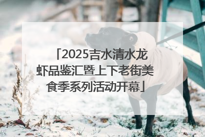 2025吉水清水龙虾品鉴汇暨上下老街美食季系列活动开幕