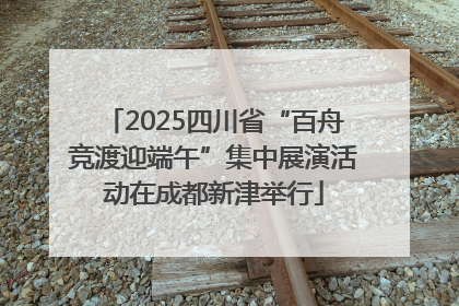 2025四川省“百舟竞渡迎端午”集中展演活动在成都新津举行