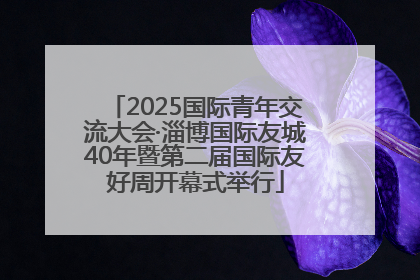 2025国际青年交流大会·淄博国际友城40年暨第二届国际友好周开幕式举行