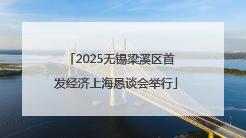 2025无锡梁溪区首发经济上海恳谈会举行