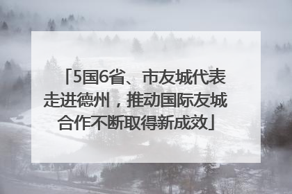 5国6省、市友城代表走进德州，推动国际友城合作不断取得新成效