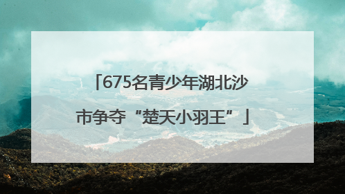 675名青少年湖北沙市争夺“楚天小羽王”