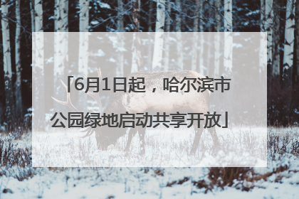 6月1日起，哈尔滨市公园绿地启动共享开放