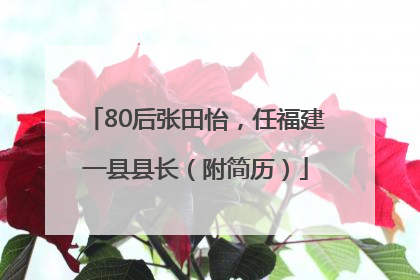 80后张田怡，任福建一县县长（附简历）