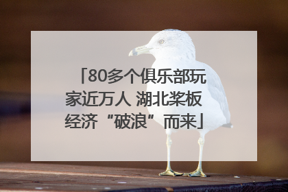 80多个俱乐部玩家近万人 湖北桨板经济“破浪”而来