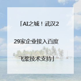 AI之城！武汉229家企业接入百度飞桨技术支持