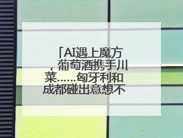 AI遇上魔方，葡萄酒携手川菜……匈牙利和成都碰出意想不到的合作机会