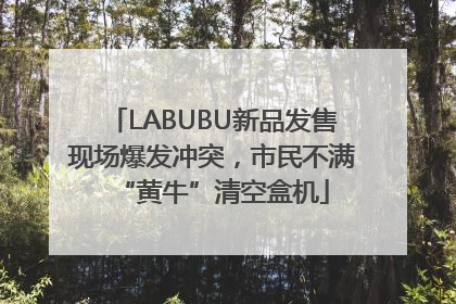 LABUBU新品发售现场爆发冲突，市民不满“黄牛”清空盒机