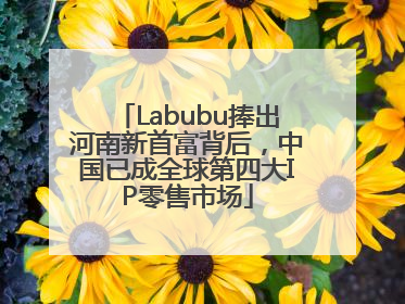 Labubu捧出河南新首富背后，中国已成全球第四大IP零售市场